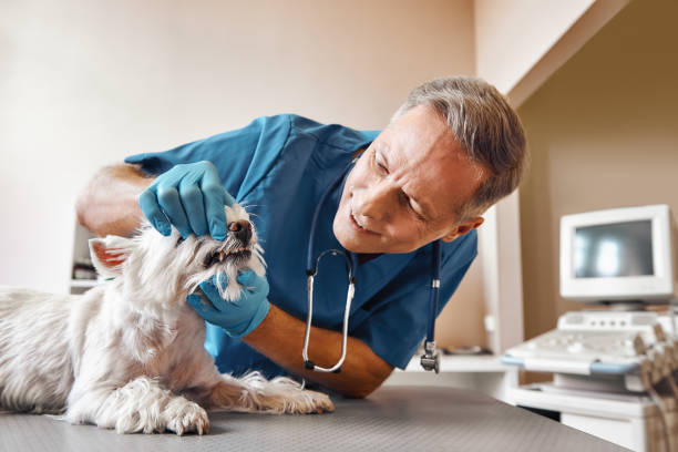 Best Pediatric Emergency Dentist in Jasper, AL